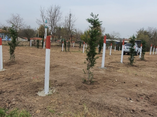 Saray Yuvalı Köy içinde Cami Yanı 300m2 Arsalar